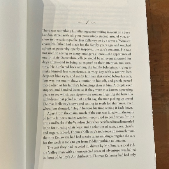 Book: Burning Bright by Tracy Chevalier - fiction - Picture 9 of 12